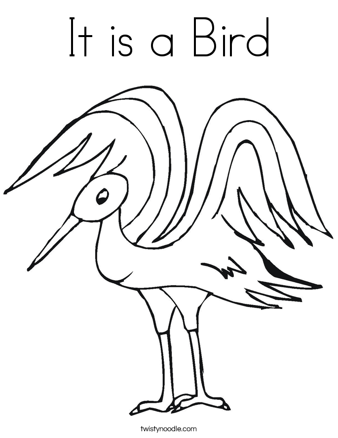 It is a Bird Coloring Page