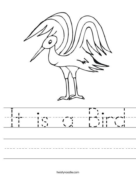 Bird Worksheet