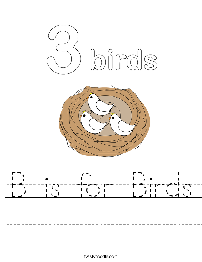 B is for Birds Worksheet