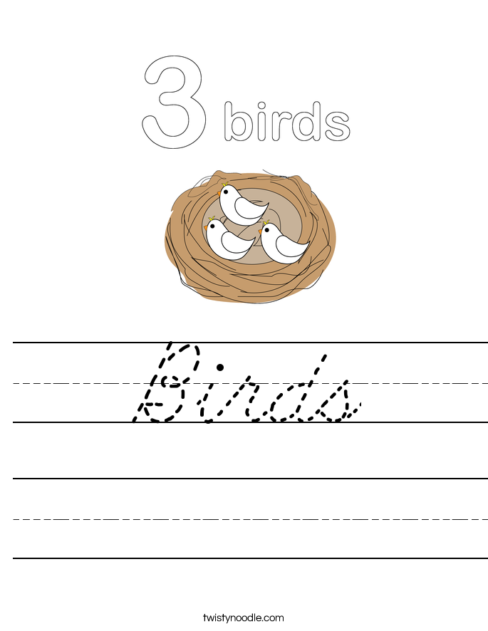 Birds Worksheet