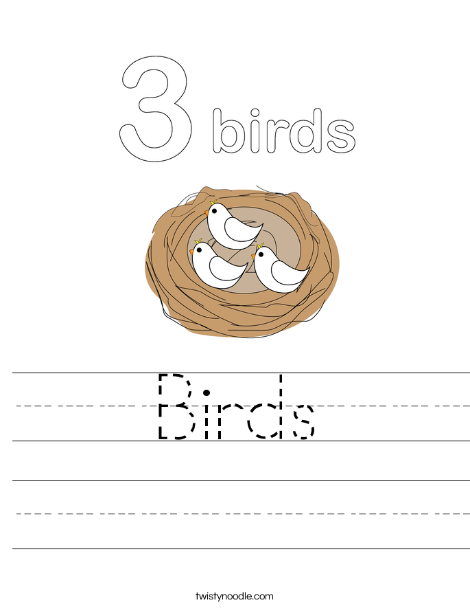 Birds Worksheet