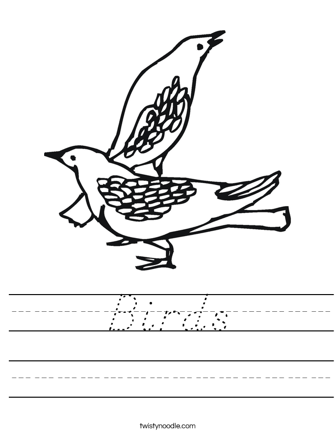 Birds Worksheet