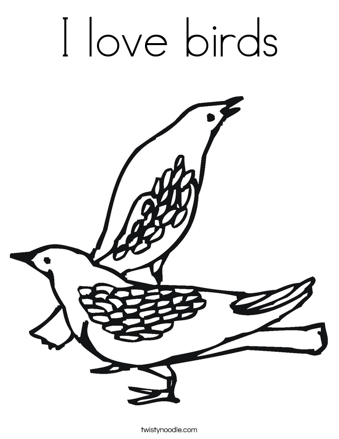 i love birds coloring page twisty noodle