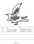 I love birds Worksheet