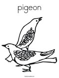 pigeonColoring Page
