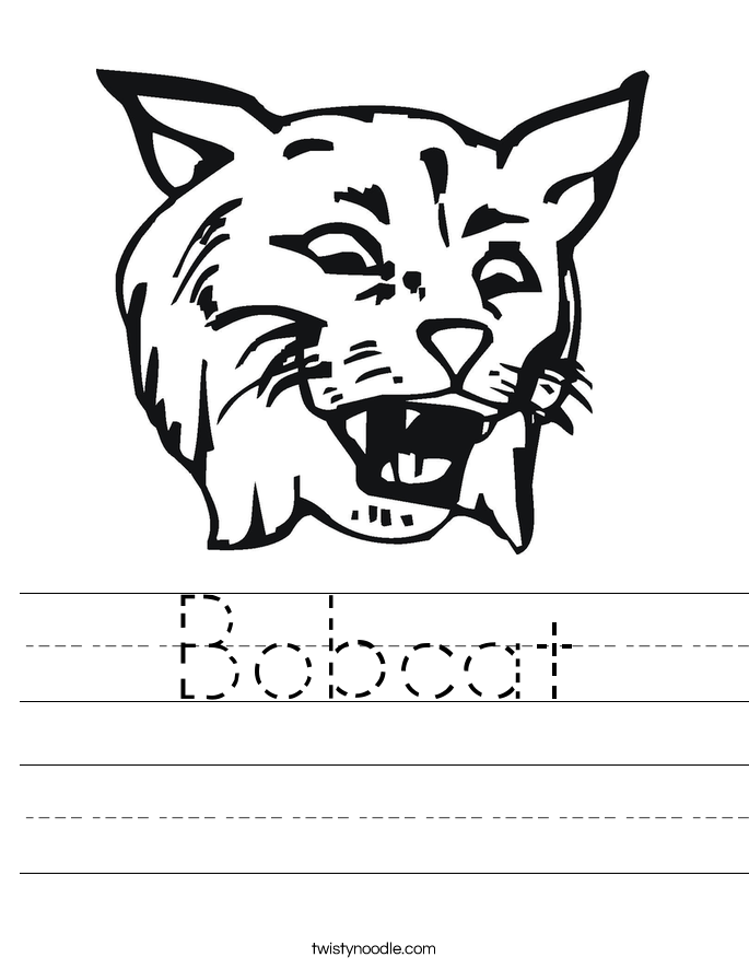 Bobcat Worksheet