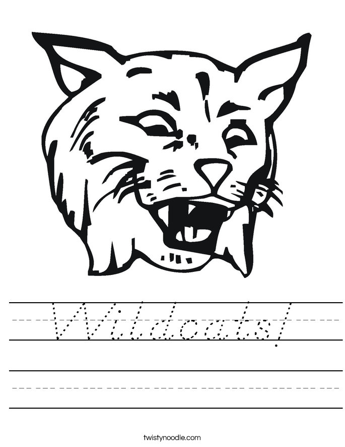 Wildcats! Worksheet