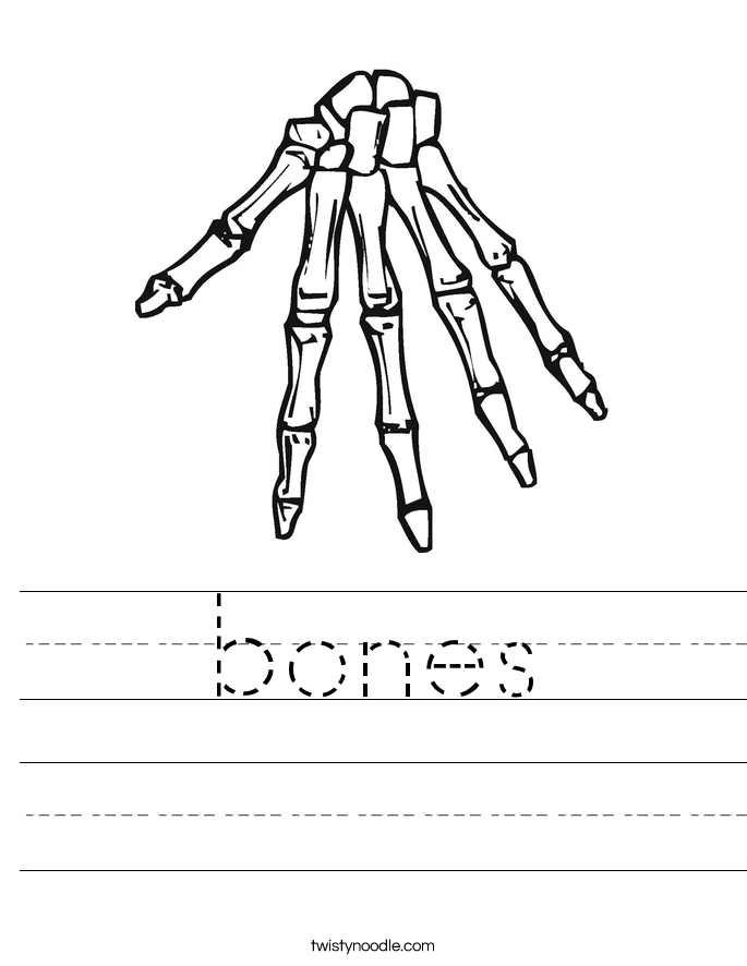 bones Worksheet