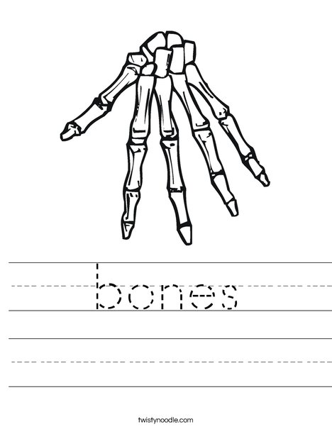 Bones Worksheet