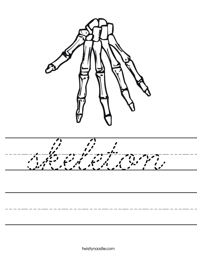 skeleton Worksheet