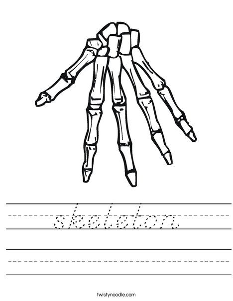 Bones Worksheet