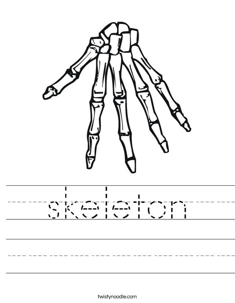 Bones Worksheet