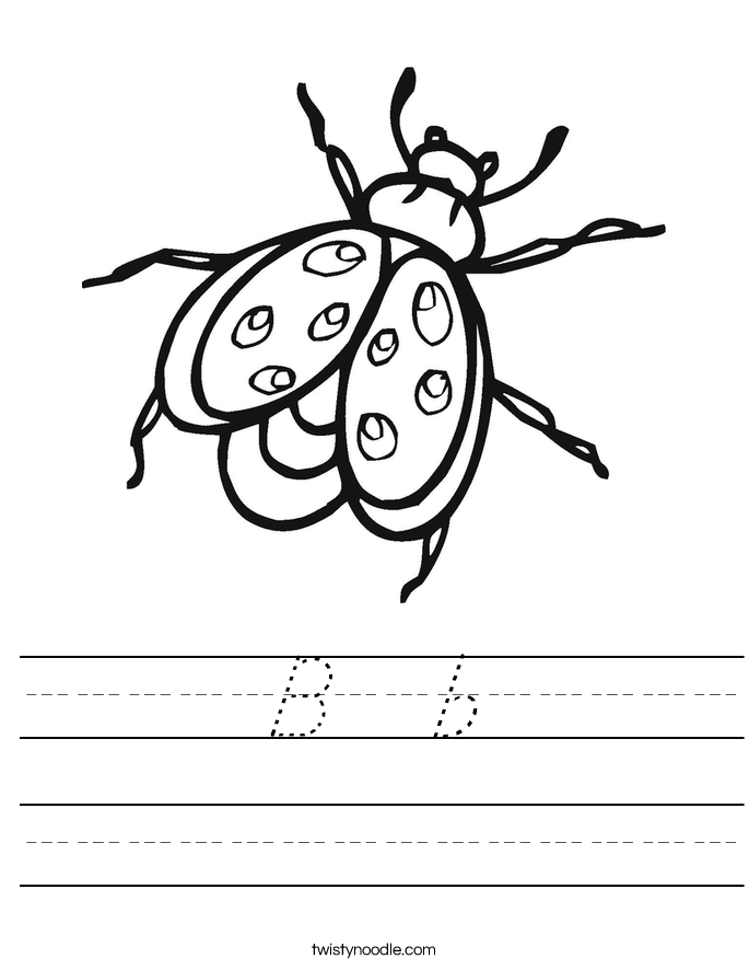 B  b Worksheet