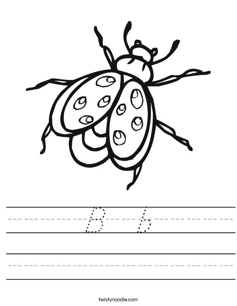 Bug Worksheet
