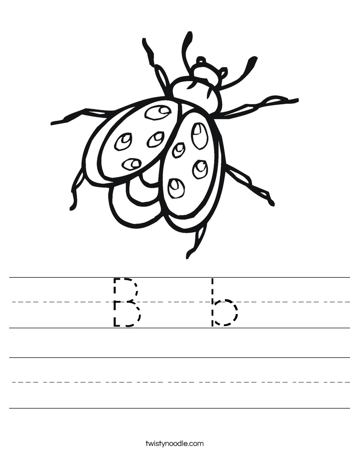 B  b Worksheet