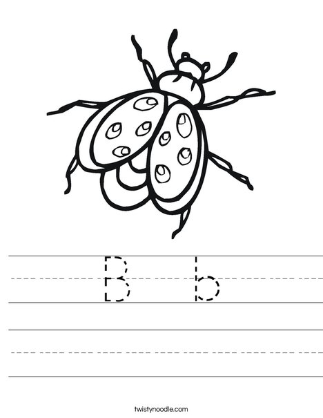 Bug Worksheet