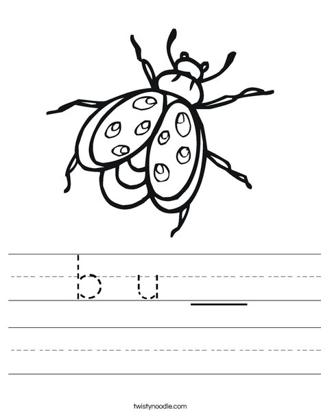 Bug Worksheet