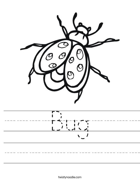 Bug Worksheet