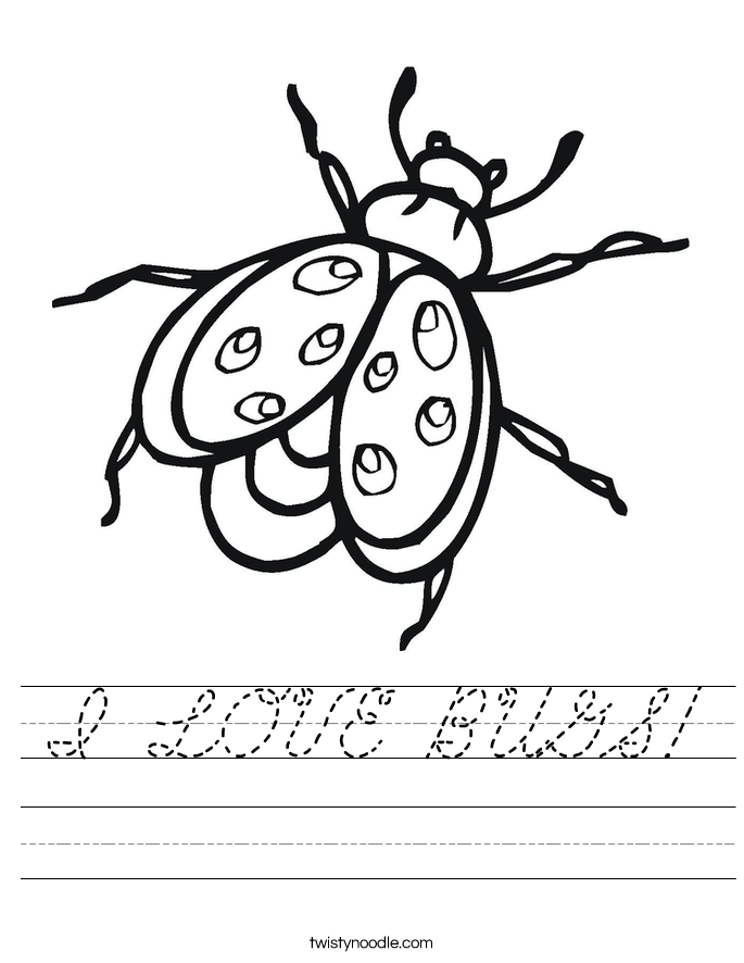 I LOVE BUGS! Worksheet