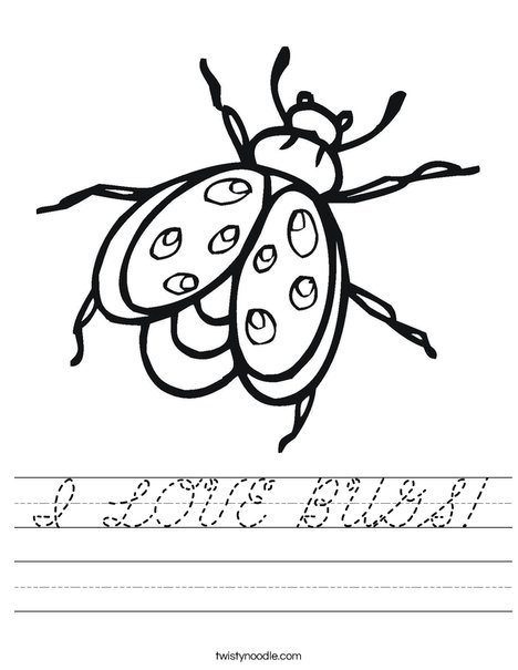 Bug Worksheet