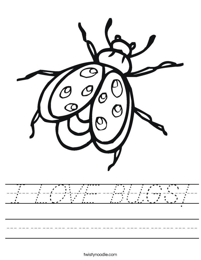 I LOVE BUGS! Worksheet