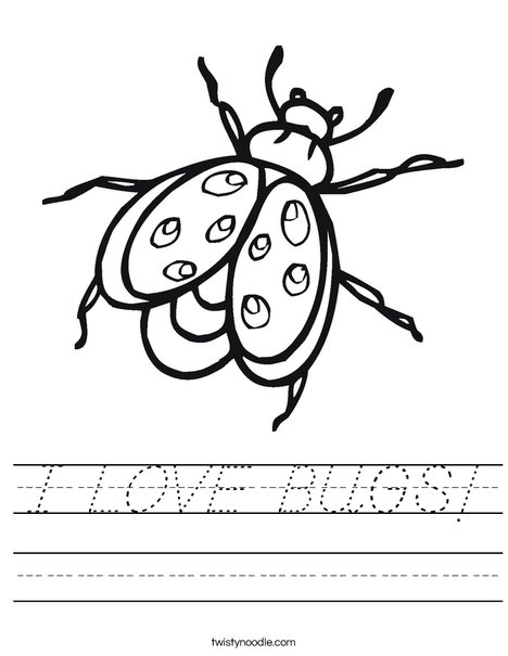 Bug Worksheet