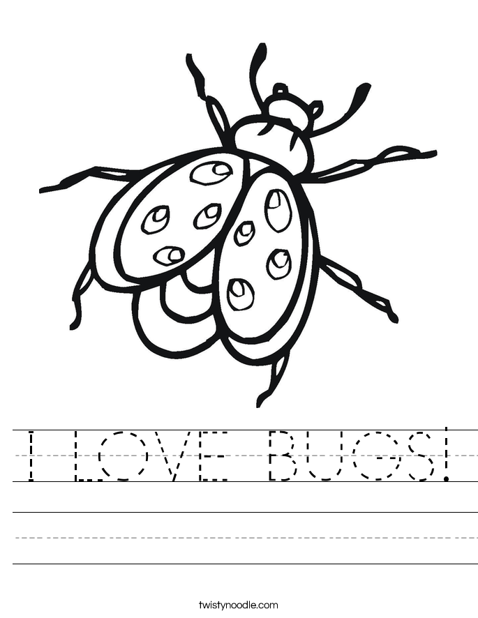 I LOVE BUGS! Worksheet