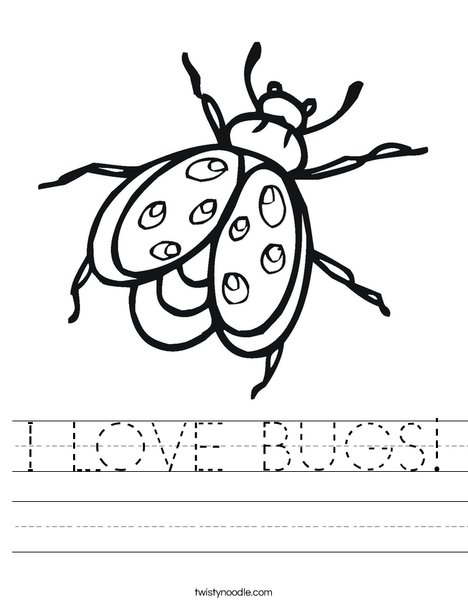 Bug Worksheet