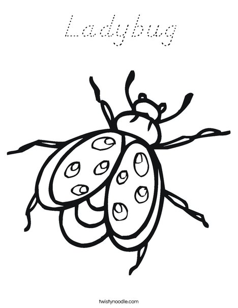 Bug Coloring Page