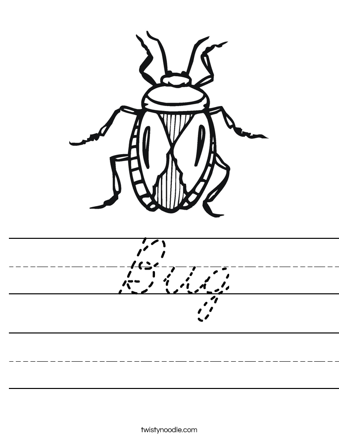Bug Worksheet