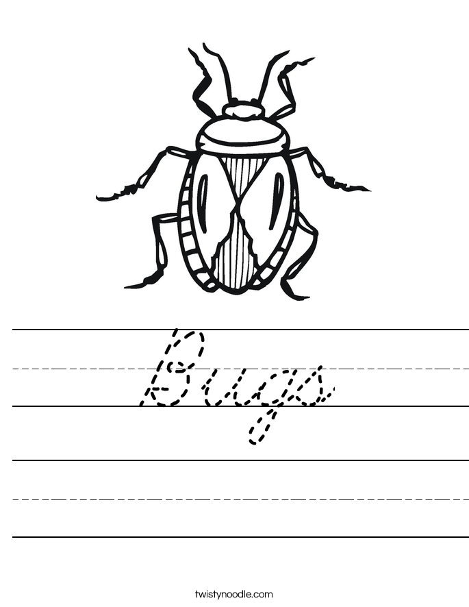 Bugs Worksheet