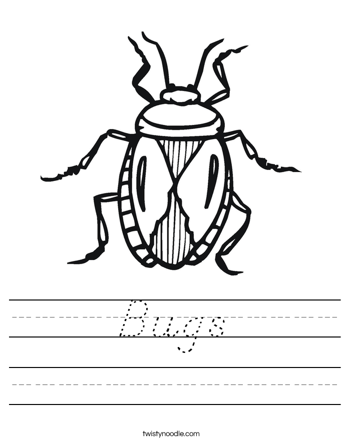 Bugs Worksheet