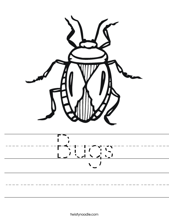 Bugs Worksheet