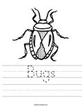 Bugs Worksheet