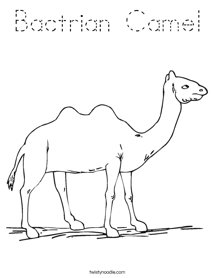 Bactrian Camel Coloring Page