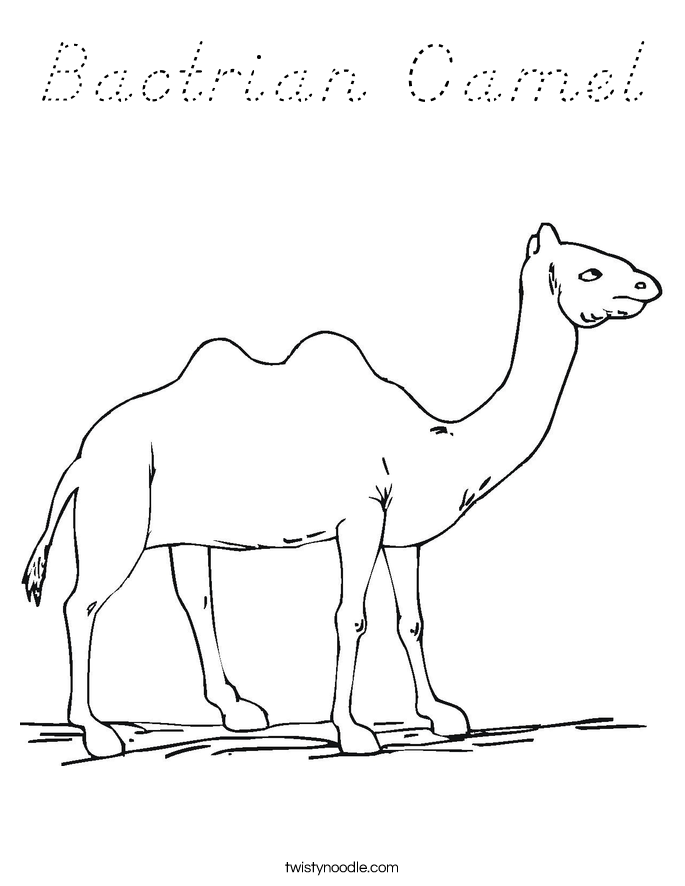 Bactrian Camel Coloring Page