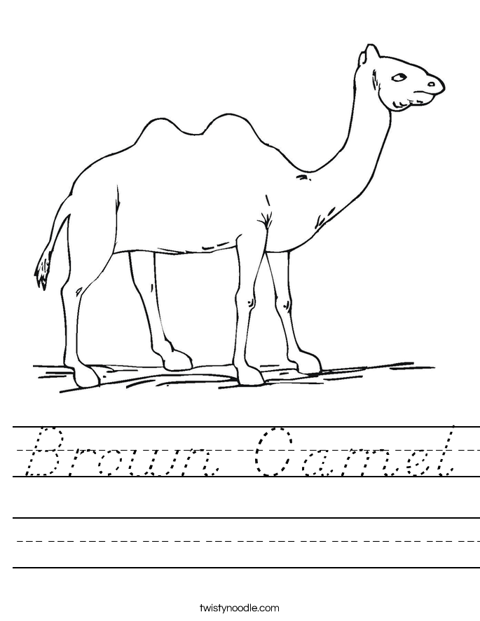 Brown Camel Worksheet