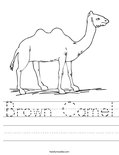 Brown Camel Worksheet