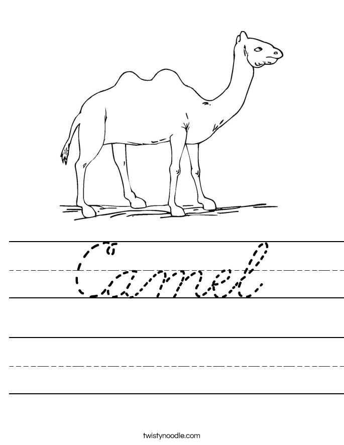 Camel Worksheet