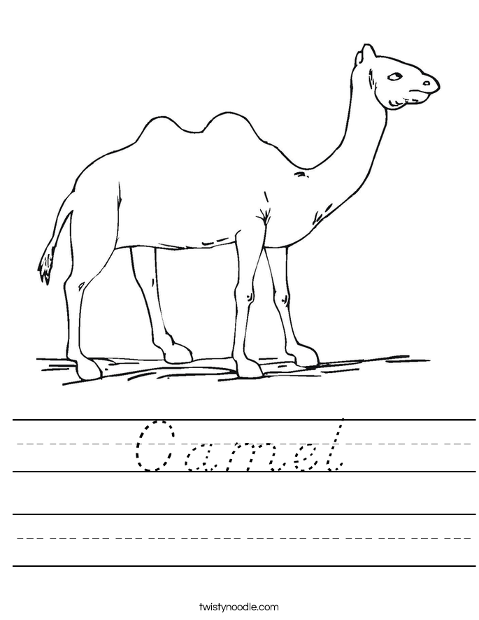 Camel Worksheet