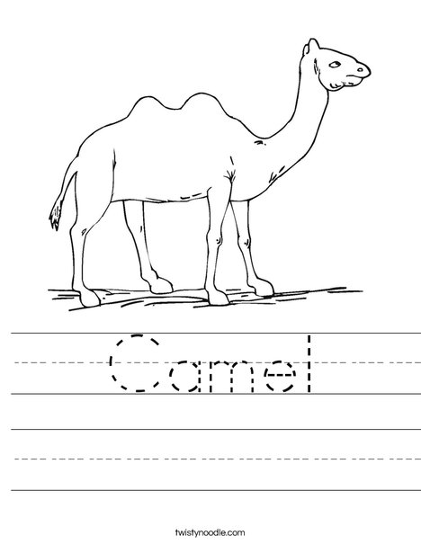 Camel Walking Worksheet