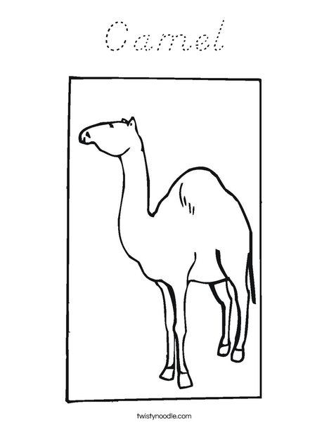 Dromedary Coloring Page