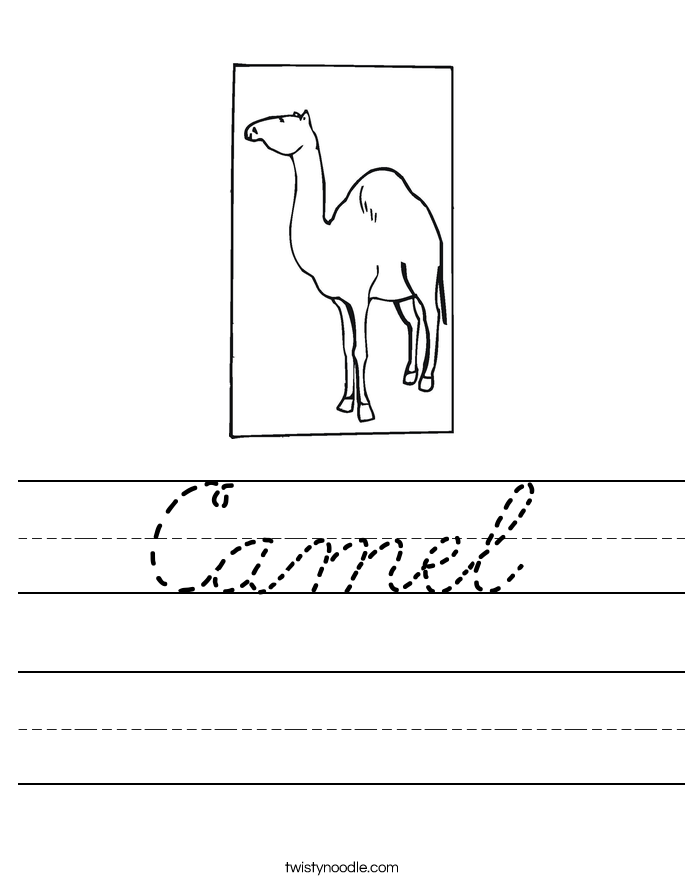 Camel Worksheet