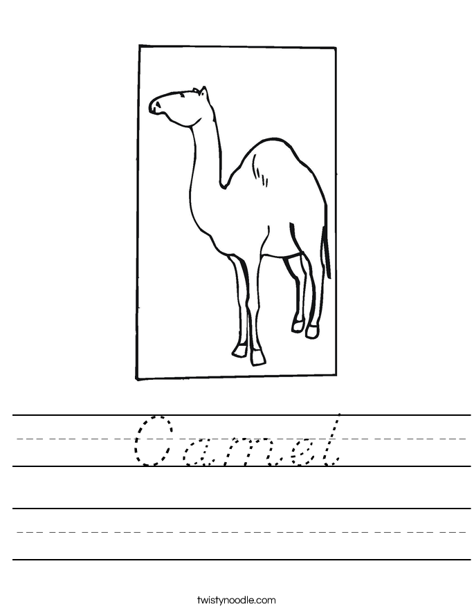 Camel Worksheet