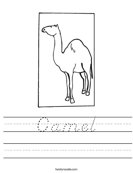 Dromedary Worksheet