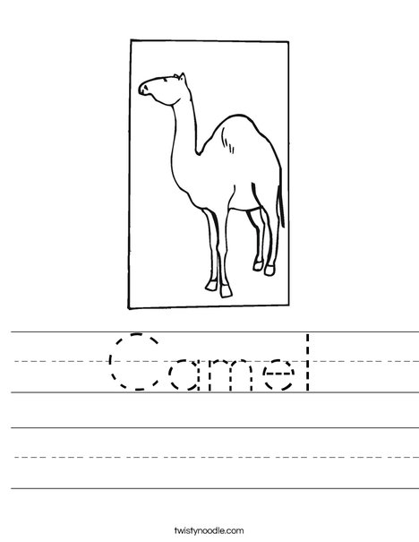 Dromedary Worksheet