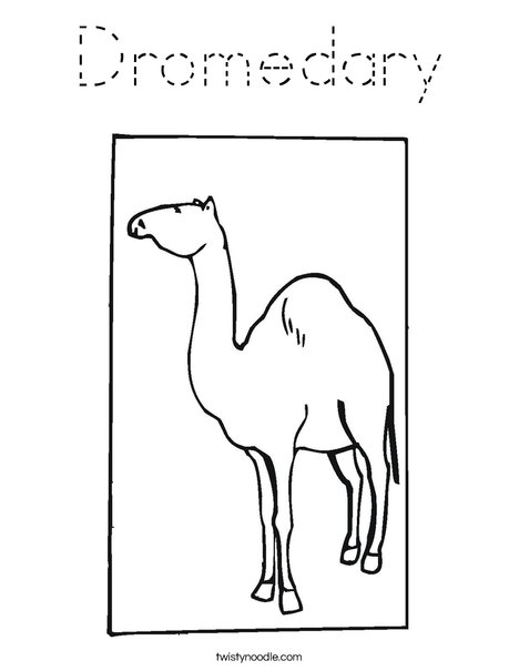 Dromedary Coloring Page