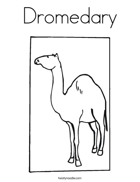 dromedary coloring page twisty noodle