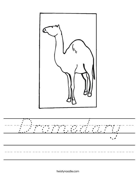 Dromedary Worksheet