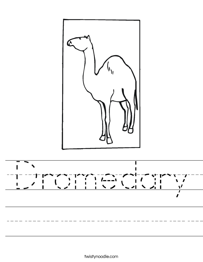 Dromedary Worksheet